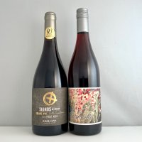 シニアソムリエ厳選オススメ　ピノ・ノワール2本セット