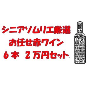 画像: シニアソムリエ厳選　おまかせ赤ワイン6本2万円セット