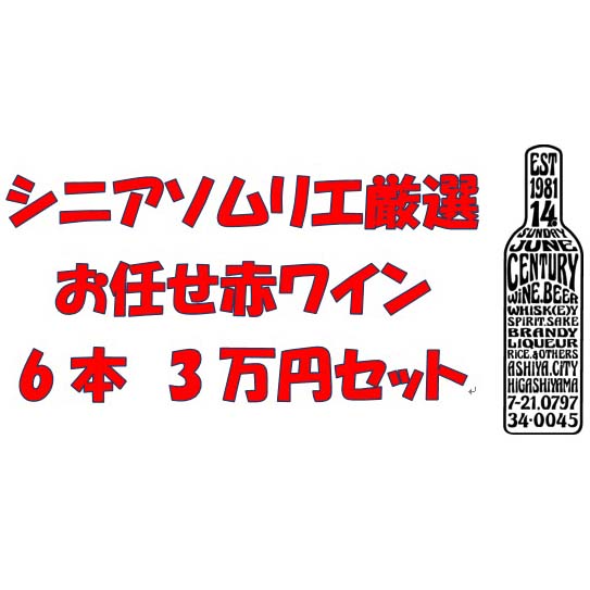 画像1: シニアソムリエ厳選　おまかせ赤ワイン6本3万円セット